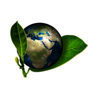 LOPPUUNMYYTY Green Day